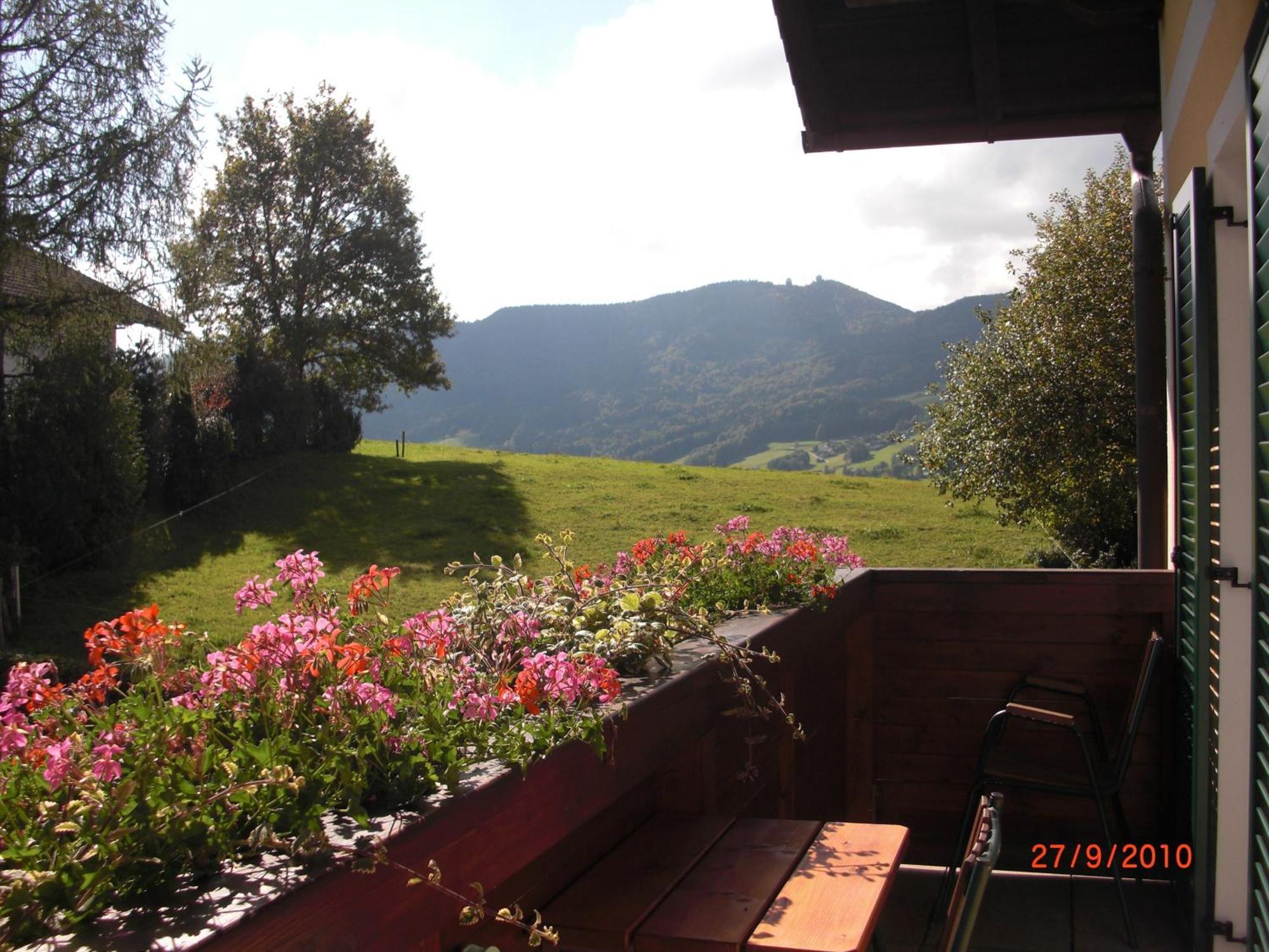 Pension Winter Zell am Moos Eksteriør billede